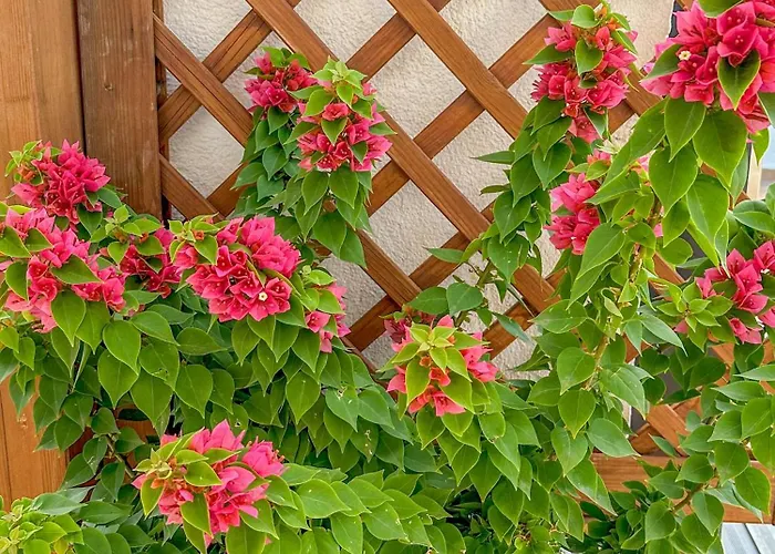 Sanctuary Penthouse By Hello Homes Апартаменты *