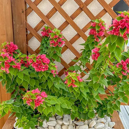 Sanctuary Penthouse By Hello Homes Апартаменти *